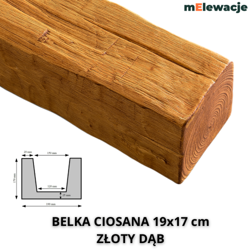 BELKA CIOSANA ZŁOTY DĄB - 19X17.png