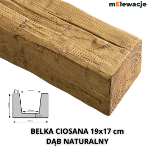 Atrapa Belki Drewnianej DĄB NATURALNY