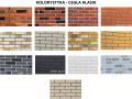 KOLORYSTYKA - CEGŁA Dekoracyjna