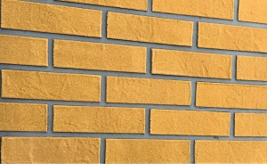 Cegła Elewacyjna Zewnętrzna ŻÓŁTA | zestaw 1m²