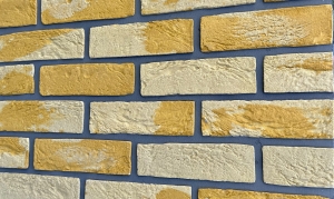 Cegła Zewnętrzna Elewacyjna ZŁOTA PIASKOWA | zestaw 1m²