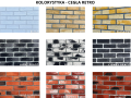 KOLORYSTYKA - CEGŁA RETRO.png